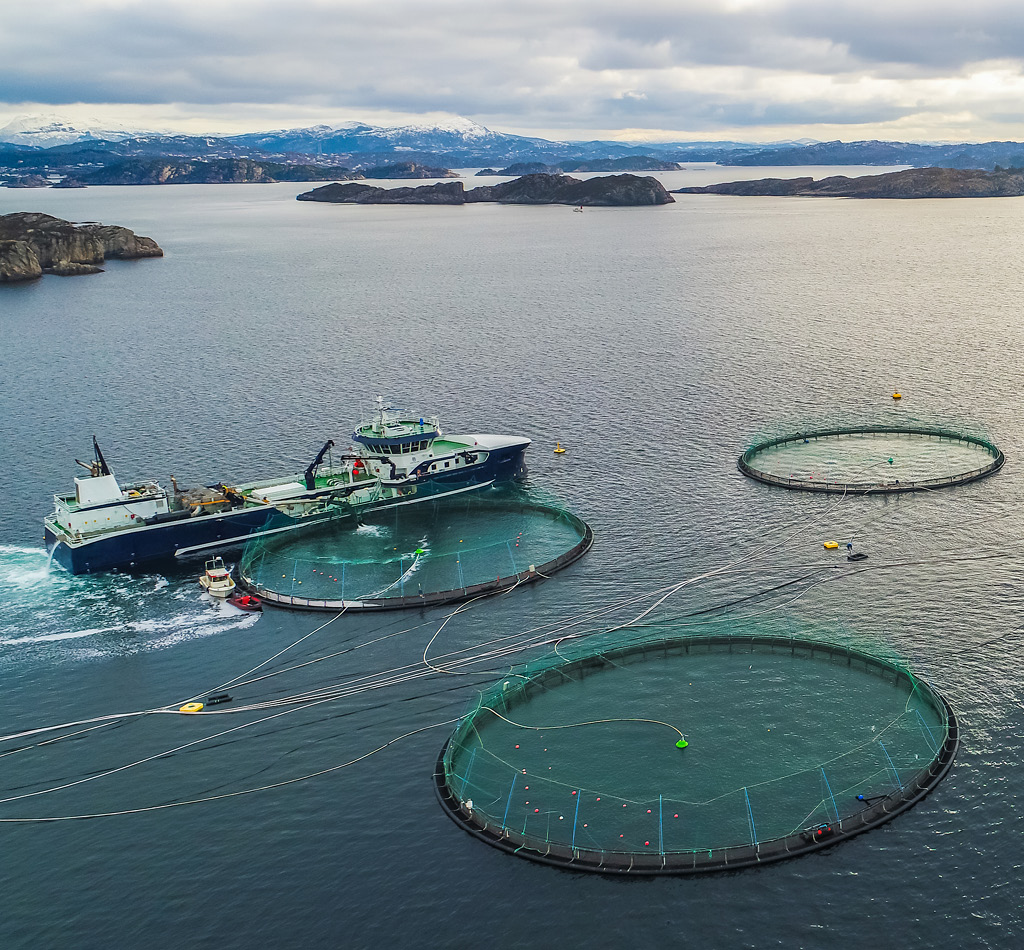 Salmon fish farm. Bergen, Norway.