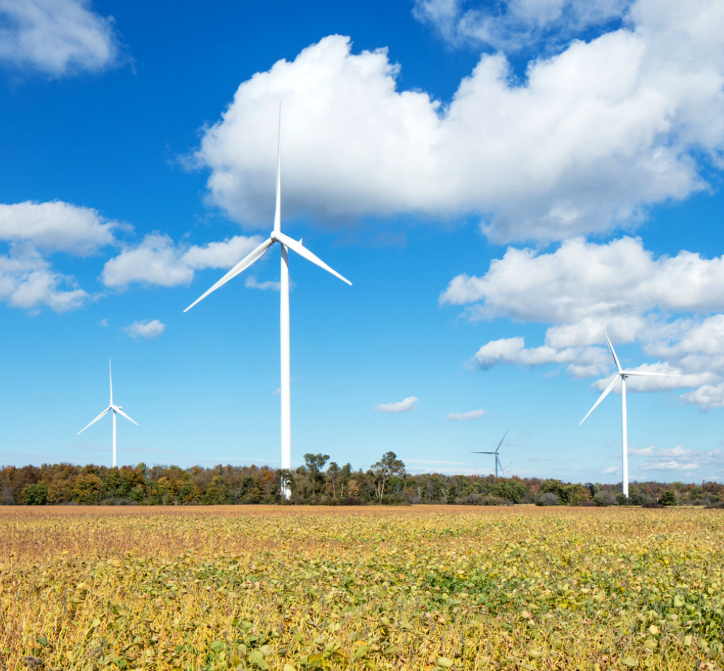 Wind turbines in a large field and blue sky.